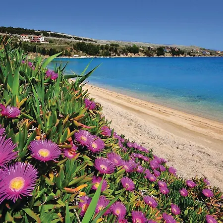 Apartment Lovely In Pag With House Sea View Pag Town